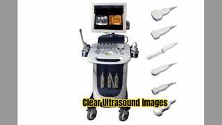 Допплеровский ультразвуковой сканер PW CFM Режим PDI